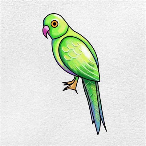 Easy parrot drawing - Begin by sketching the body shape using oval or circle-based forms to represent the head and torso. Next, draw triangle-shaped wings extending out from either side of the body with curved edges representing feathers’ tips. Use straight lines to mark where legs will be placed on the bird’s underside.
